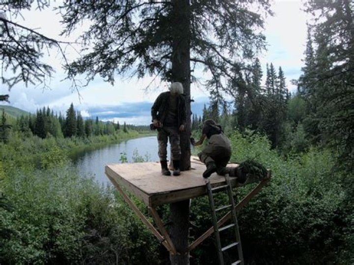 Discovering The Resilience Of Andy From Life Below Zero