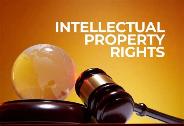 Sarah Ann Friedman: An Expert Guide To Intellectual Property Law