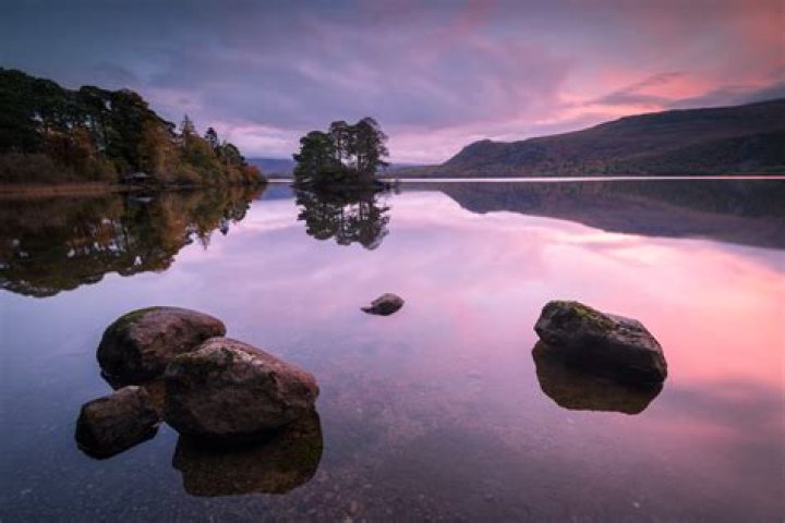 Uncover Essential Synonyms For "Reflect": A Comprehensive Guide To Expressing Reflection
