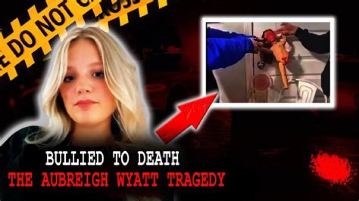 Understanding The Tragic Story Of Aubreigh Wyatt's Suicide